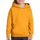 HEAVY BLEND™ YOUTH HOODED SWEATSHIRT